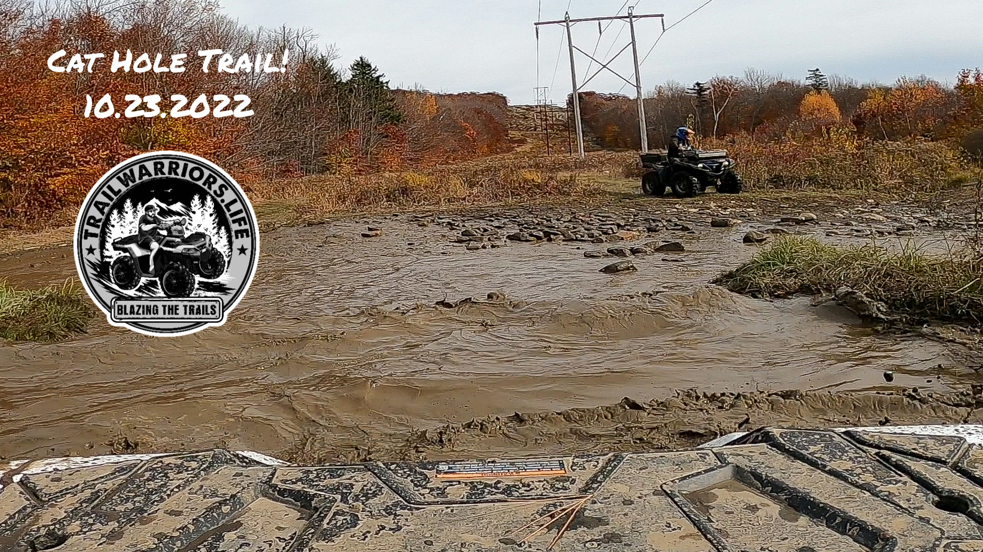 Cat Hole Burger King